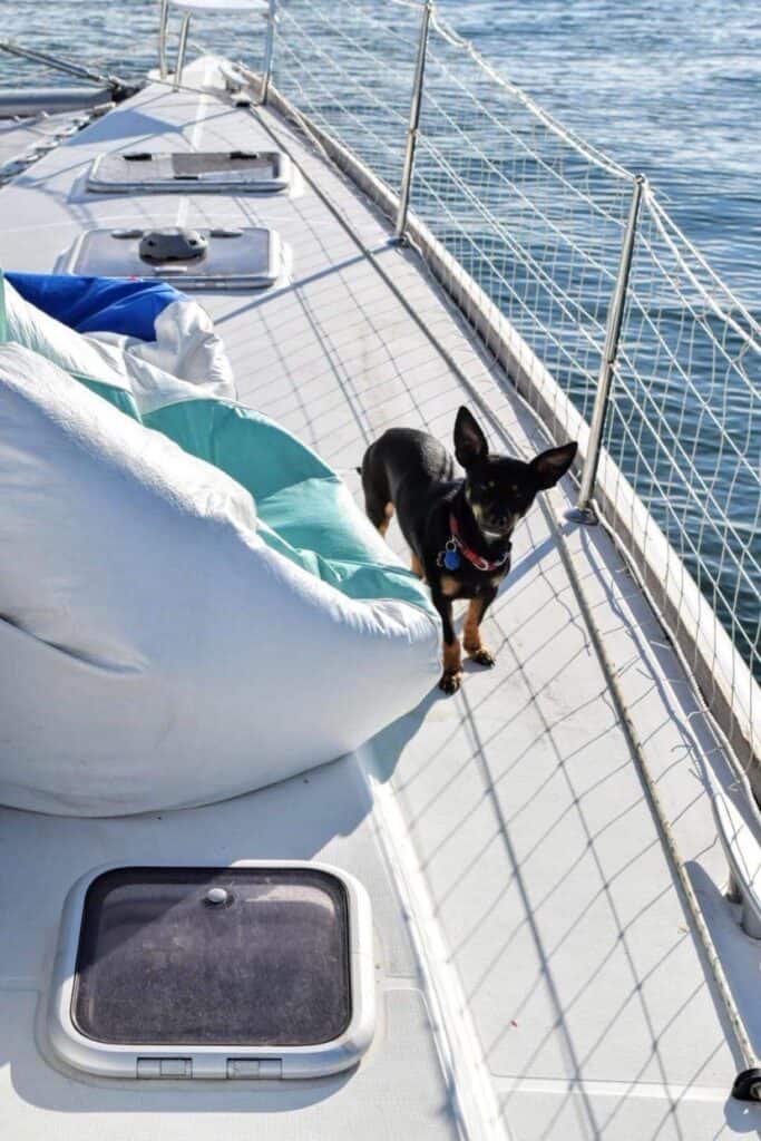 Boating Gift Guide: 30 Gifts For Boaters That They Will Actually Use